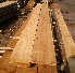 Acc�der � la galerie photo de nos planches