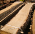 Acc�der � la galerie photo de nos planches